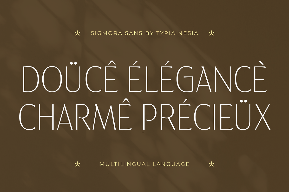 Sigmora - Modern Elegant Thin Sans, a Sans Serif Font by Typia Nesia (Photo 3 of 11)