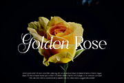 Kreata Agnore - Font Duo, a Serif Font by Idea Studio (Thumbnail 6 of 16)