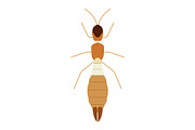 Worker Termite Insect, a Solid Icon by Buqancreative (Thumbnail 1 of 2)