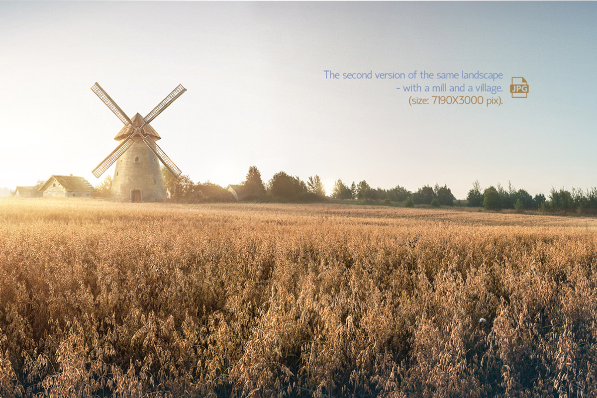 Autumn rural landscape, a Food Illustration by Countryside life (Photo 3 of 9)