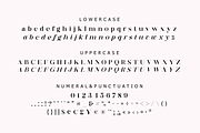 Deroma Slab, a Serif Font by Yahya Type (Thumbnail 12 of 14)