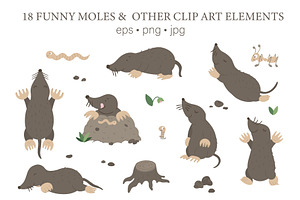 Funny Moles