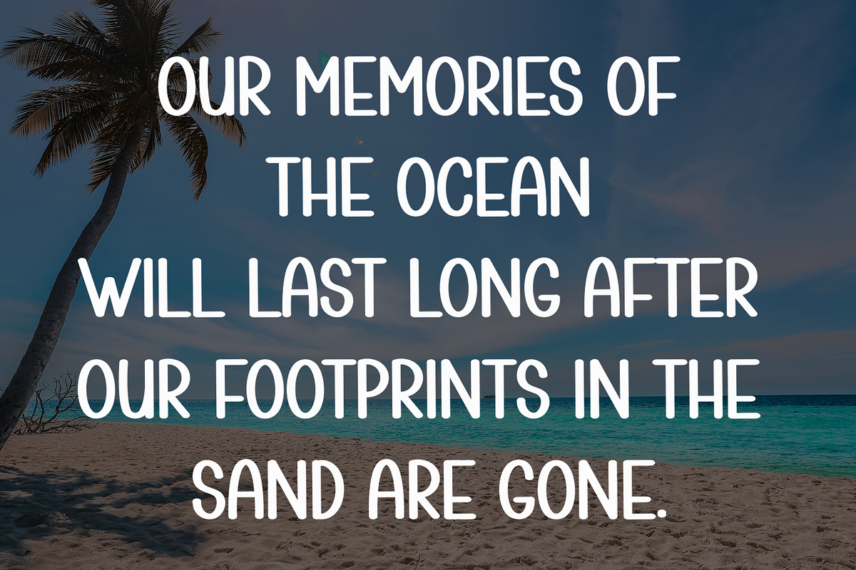 Summer Beach, a Script Font by InermediaSTUDIO (Photo 4 of 8)