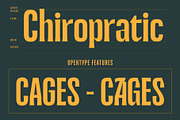 Jacoma, a Serif Font by Adam Fathony (Thumbnail 6 of 17)