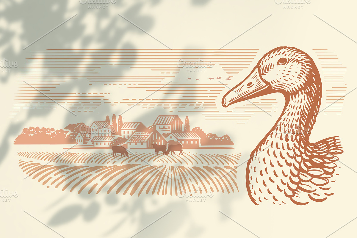 Vintage village. Vector set., an Animal Illustration by bioraven (Photo 9 of 13)
