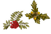 Autumn. New season Illustration Pack, an Object Graphic by Schumacher Shop (Thumbnail 6 of 9)