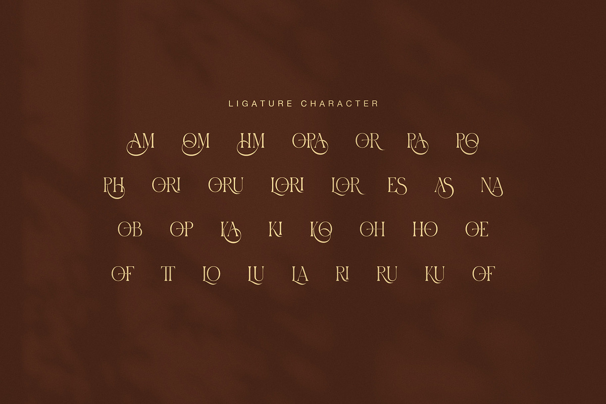 Amora Elegant Serif Font, a Serif Font by Graphicxell (Photo 8 of 8)