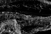198 Plastic Photoshop Brushes, a Brush Add-On by ArtistMef (Thumbnail 10 of 11)