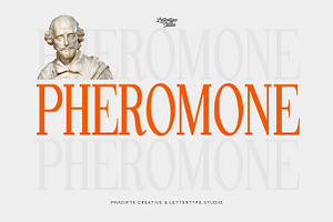 Pheromone Modern Classic Serif