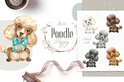 Puppy Paws 6. Watercolor Collection, an Illustration by OctopusArtis (Thumbnail 3 of 11)