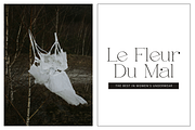 Feona Delicate Serif, a Serif Font by elvinova (Thumbnail 3 of 9)