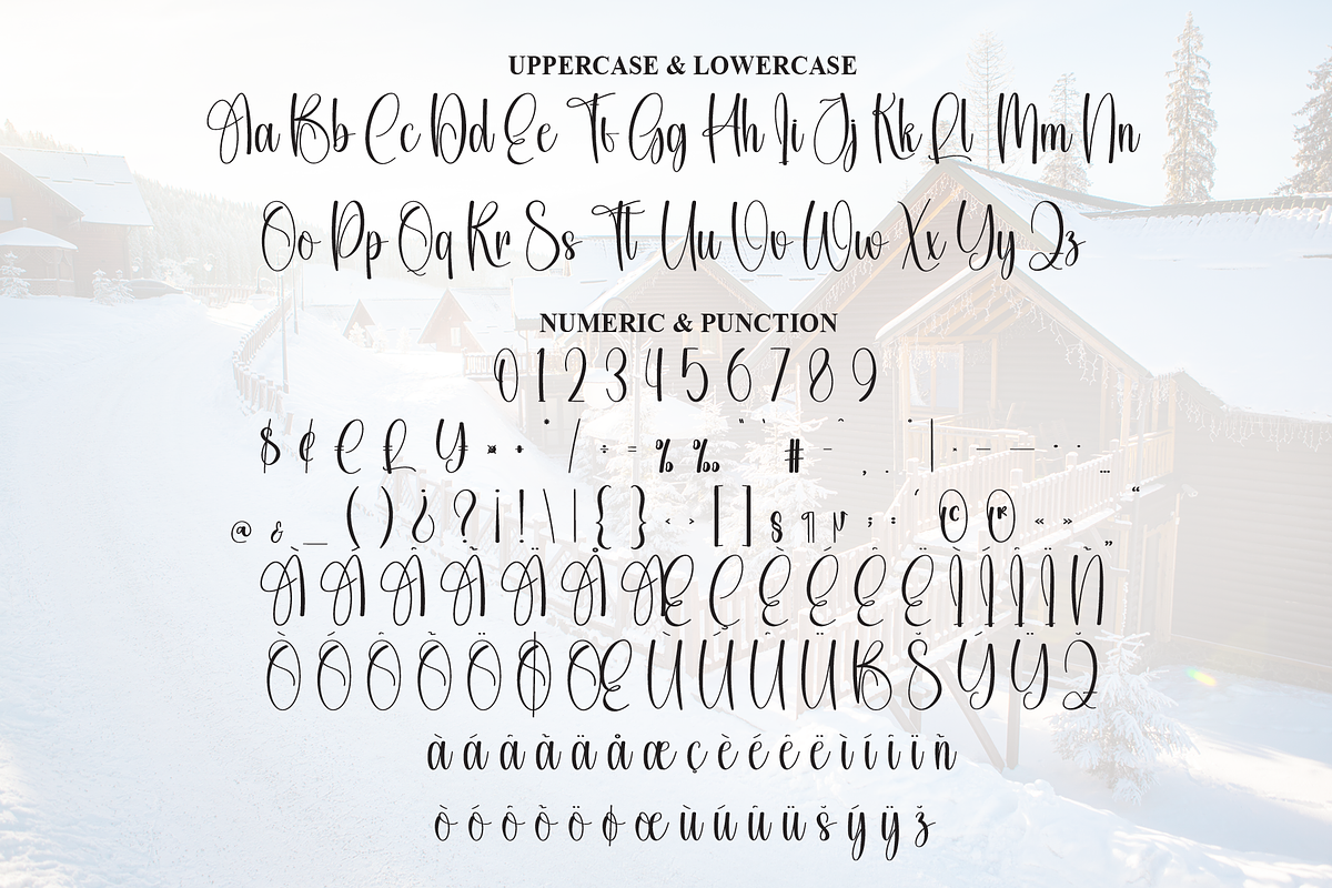 Snowhouse | Script Font, a Handwritten Font by Scratchones (Photo 7 of 8)