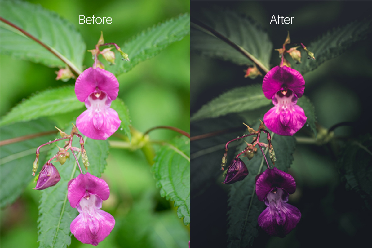Autumn Vibes - Lightroom Presets preview 8