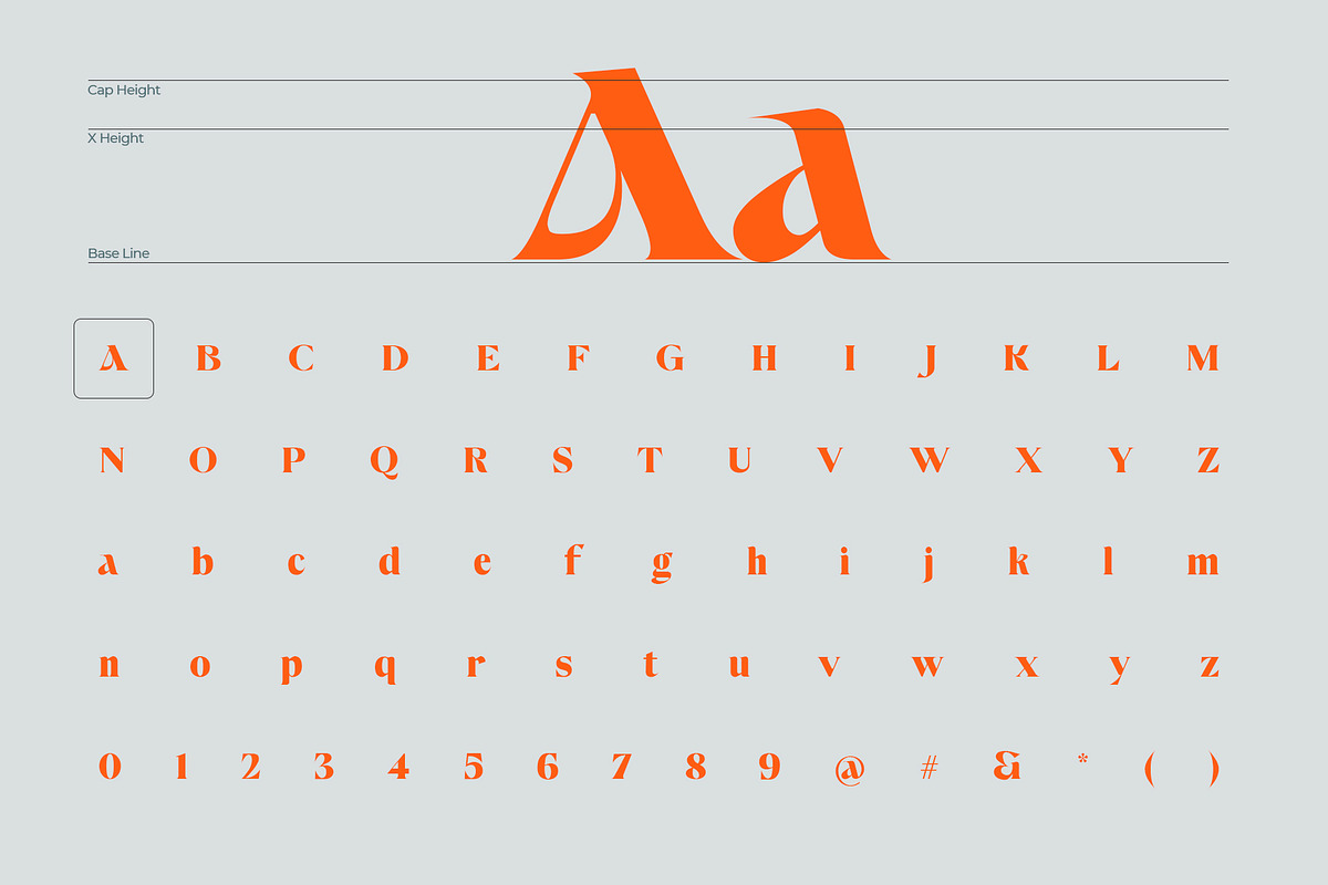 Avango Display Serif, a Serif Font by Designsation (Photo 8 of 10)