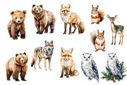 Watercolor forest animals clipart, an Object Graphic by KomtsyanTatyanaArt (Thumbnail 3 of 10)