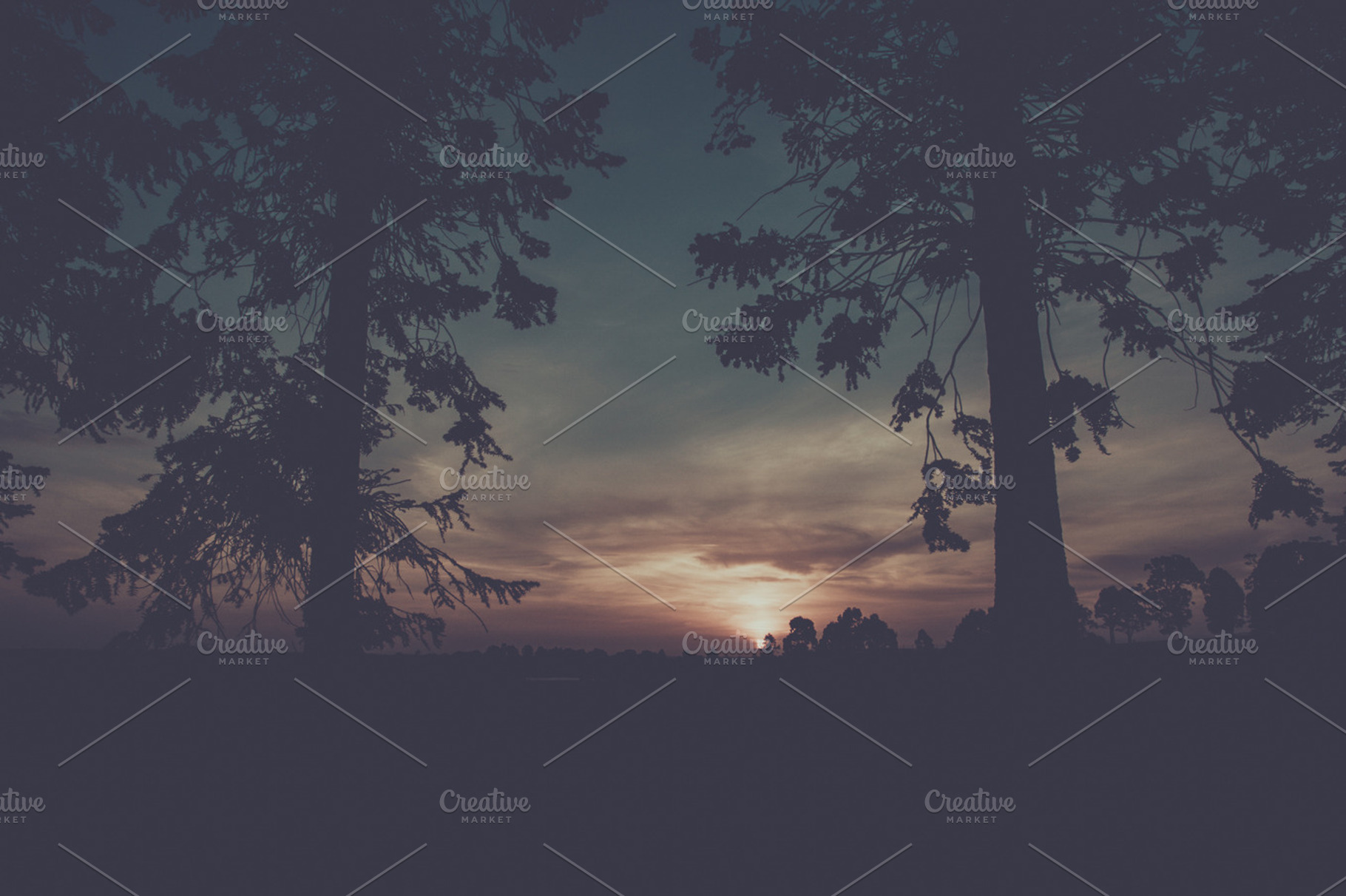 Vintage Australia Sunset, a Nature Photo by Dylan Martin Studios