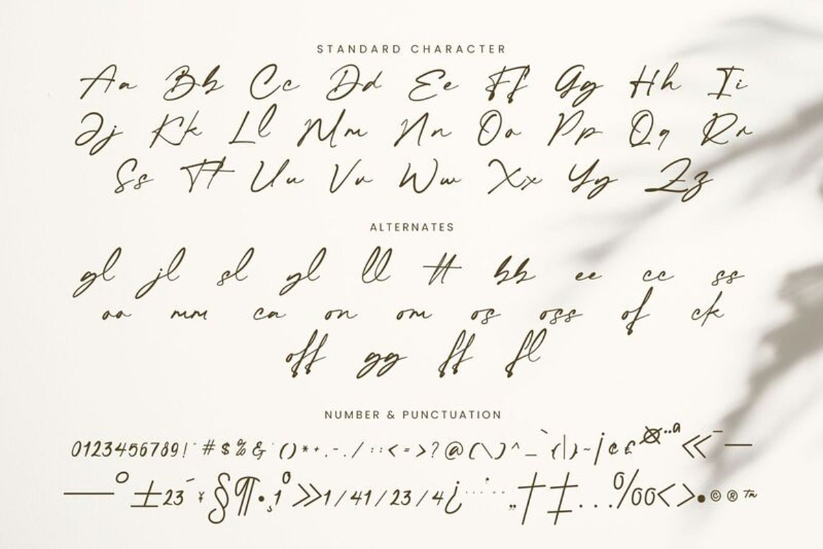 Checkbold, a Script Font by Muwatta Studio (Photo 14 of 15)