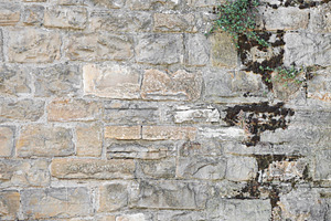 Stone wall of old construction with parts dirty, a Nature Photo by Davizro's Market