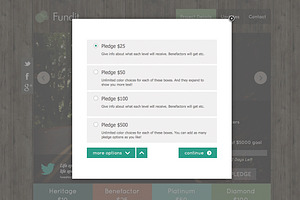 Fundit - OnePage Crowdfunding Theme