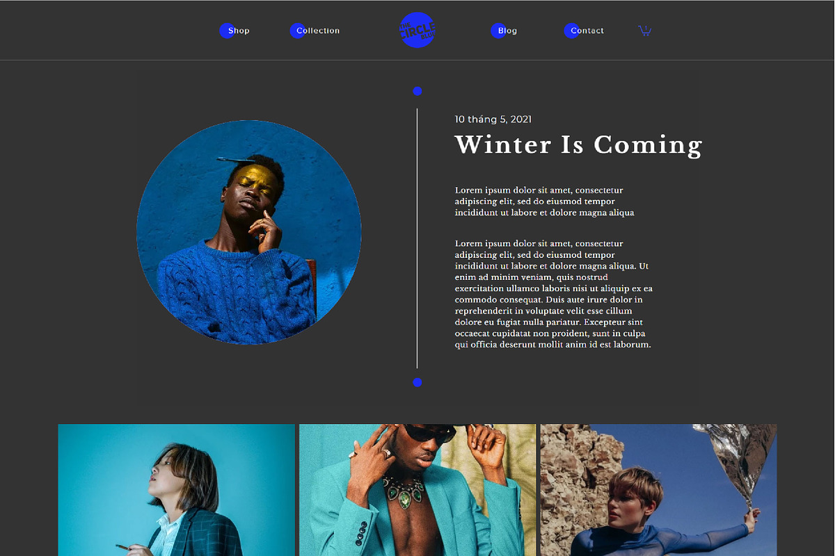 WIX TEMPLATE - WIX SHOP - WIX THEME, a Wix Template by iambao.ooo (Photo 7 of 10)