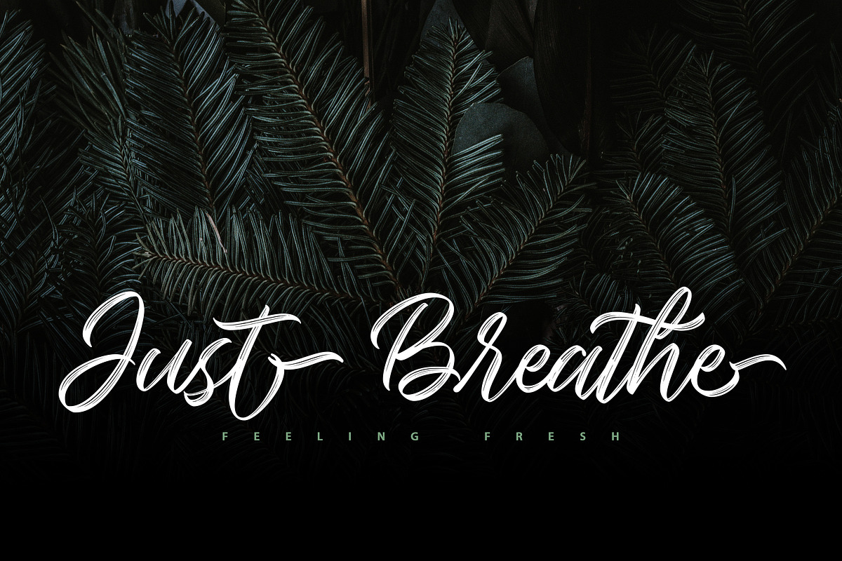 Seymore – Brush Script Font, a Script Font by Typefactoryco (Photo 7 of 12)