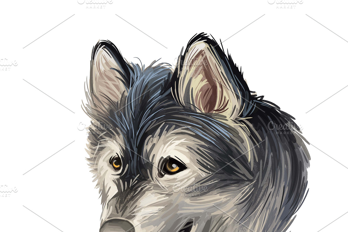 100 Dog Breeds Popular in the World, an Illustration by Dneprstock (Photo 3 of 5)