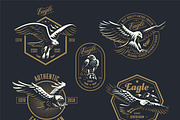 Set of the emblem with the eagle., an Animal Illustration by Masterlevsha (Thumbnail 3 of 5)