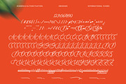 Uniquely Vifanite Bold Calligraphy, a Script Font by Letterena Studios Script (Thumbnail 16 of 20)