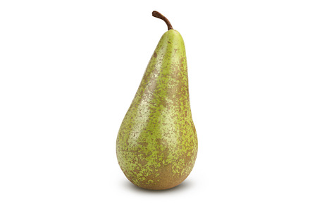 Green conference pear isolated on, a Food & Drink Photo by NataPhoto