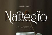 Naftegfo A New Modern Serif, a Serif Font by Storytype Studio (Thumbnail 1 of 15)