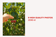 Cherry Photo Collection - NO AI, a Nature Photo by Merinda Designs (Thumbnail 2 of 3)