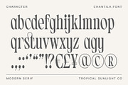 Chantila - Modern Serif Font, a Serif Font by TropicalSunlightCo. (Thumbnail 8 of 10)