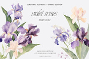 SPRING BOX Watercolor Bundle 400+, a Decorative Illustration by Muse Artist (Thumbnail 76 of 99)