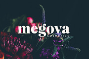Mogan Serif Font + Extras, a Font by Heritage Type Co. (Thumbnail 4 of 16)