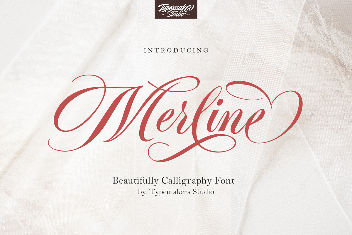 Merline Script, a Script Font by TypeMakers (Photo 1 of 12)
