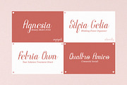 Enfiyali Alovelly Love Modern Script, a Script Font by Denustudios (Thumbnail 6 of 13)