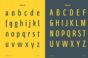 UT Polnuma - A Modern Sans Serif, a Sans Serif Font by Universitype (Thumbnail 4 of 12)