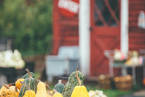 Fall Farmers Market