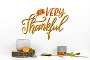 Thanksgiving holiday overlay+clipart, an Illustration by Astarte_design (Thumbnail 13 of 13)