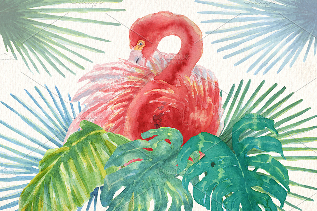 toucans and flamingos watercolor set, an Illustration by Art & Things (Photo 4 of 7)