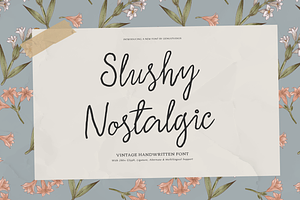 Slushy Nostalgic Vintage Handwritten, a Script Font by Denustudios