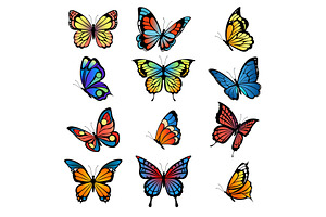 Colored Butterflies. Vector Pictures