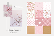 Cherry Blossom Vector Collection, a Pattern Graphic by glasshouse (Thumbnail 2 of 7)