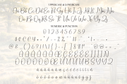 Vintage Farmhouse | Script Font, a Handwritten Font by Scratchones (Thumbnail 7 of 8)