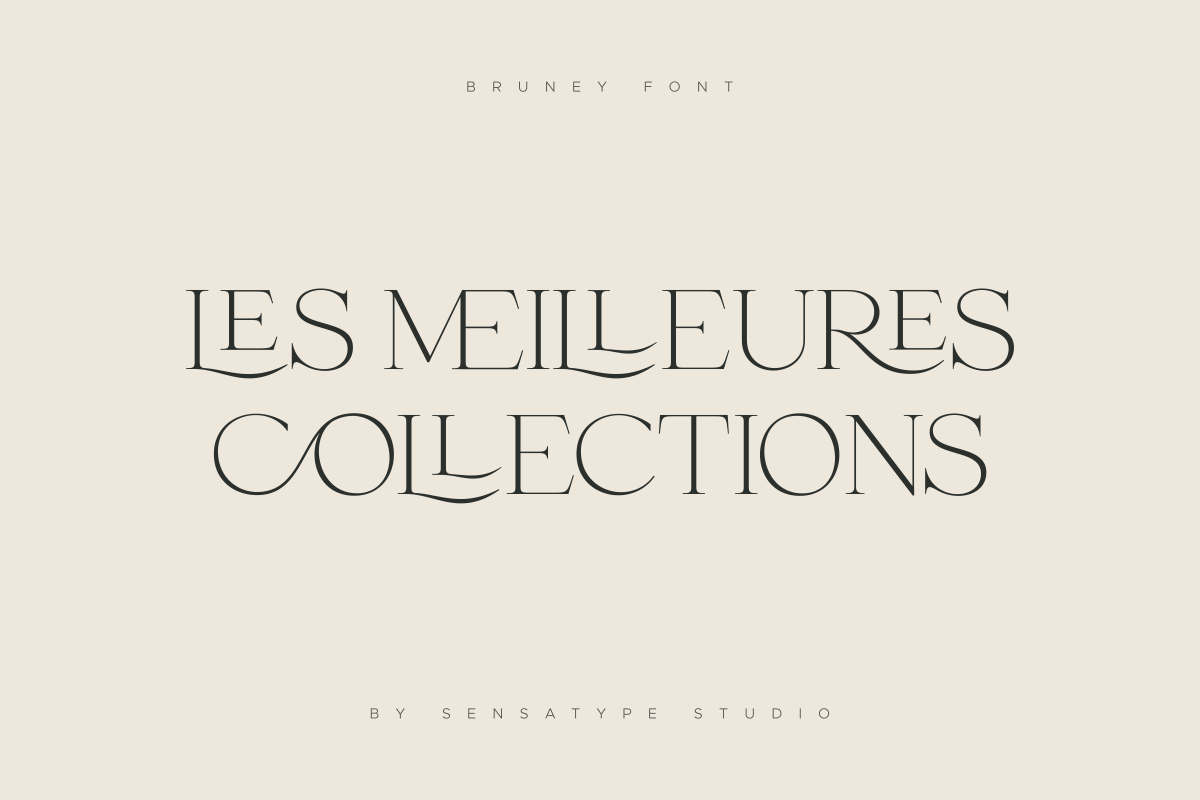 Bruney - Classy Ligature Font, a Serif Font by Sensatype (Photo 15 of 19)