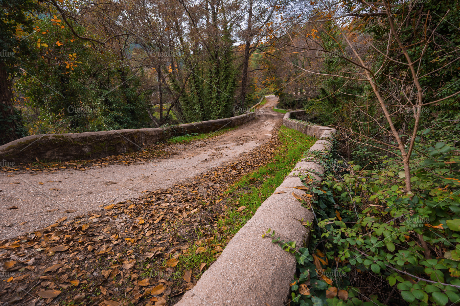 Old rural bridge surrounded by veget, an Architecture Photo by Perpis