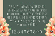 Barely Painter Elegant Serif Font, a Serif Font by timelesstype.co (Thumbnail 19 of 20)