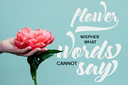 Vhiezelvia Script, a Script Font by Republik Kreatif (Thumbnail 2 of 5)