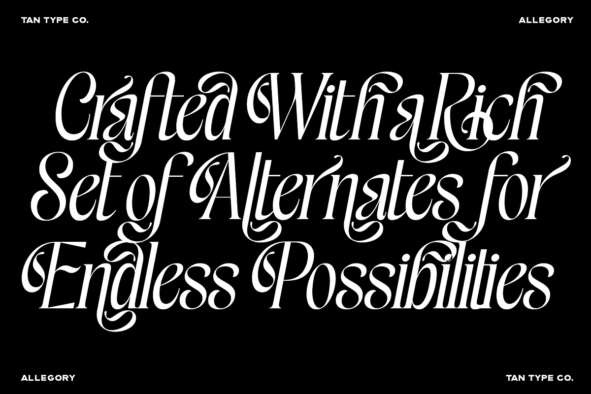 TAN - ALLEGORY, DUO FONT, a Serif Font by TanType (Photo 2 of 10)