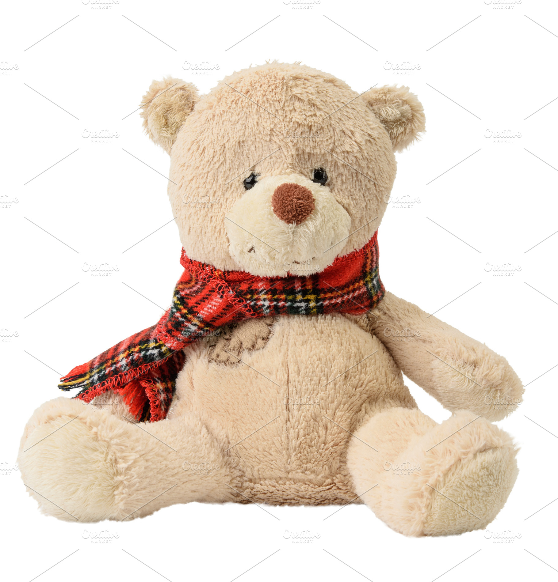 A soft beige toy bear with a red checkered scarf with fringe tie, an Abstract Photo by ndanko